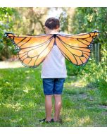 *Monarch Butterfly Wings