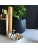 Bamboo Travel Toothbrush