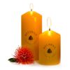 New Zealand Beeswax Candles