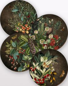 New Zealand Old Masters Botanic Design Placemats