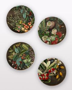 New Zealand Old Masters Botanic Design Coasters