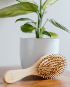 Plastic-free Bamboo Hairbrush