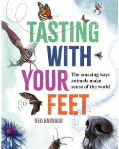 Tasting with your Feet